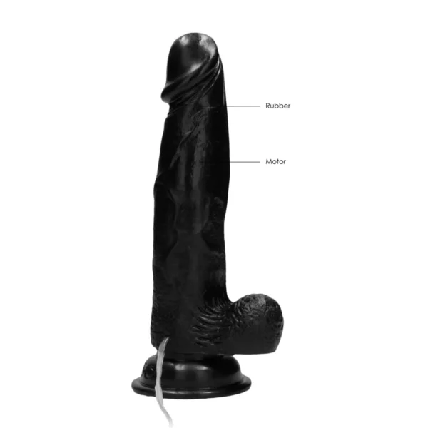 d82cf3045959784da5f543beedf188d7